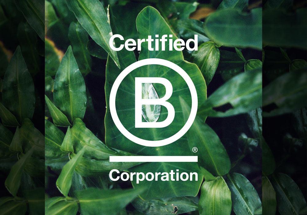 b corp sostenible empresa marca
